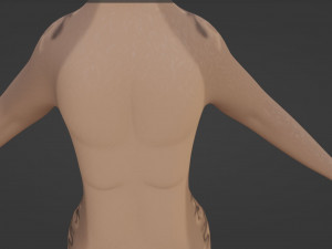 Kovu Anthro Wolf 3D Model