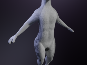 Magnus Anthro Wolf 3D Модель