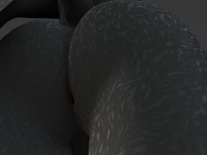 Fenrir Anthro Wolf 3D Model