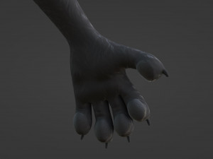Fenrir Anthro Wolf 3D Model