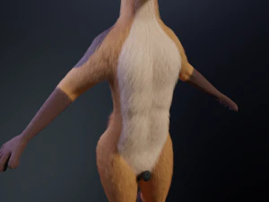 Mikael Anthro Fox 3D Model