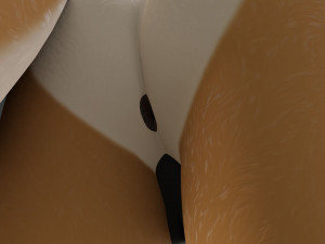 Mikael Anthro Fox Modelo 3D
