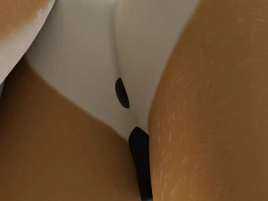 Mikael Anthro Fox 3D Model