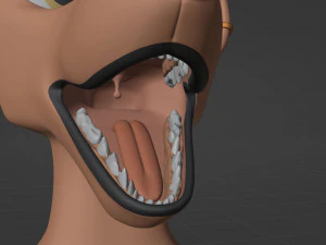 Mikael Anthro Fox 3D Model