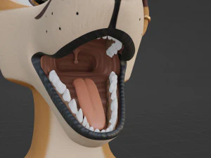 Mikael Anthro Fox 3D Model