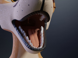 Mikael Anthro Fox Modelo 3D