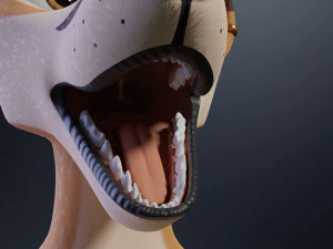 Mikael Anthro Fox 3D Model