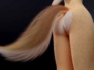 Julie Anthro Fox Model 3D