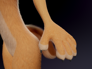Julie Anthro Fox Model 3D