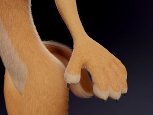 Julie Anthro Fox 3D Model