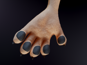Julie Anthro Fox Model 3D