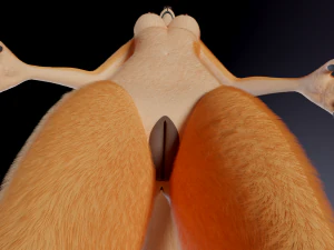 Julie Anthro Fox 3D Model