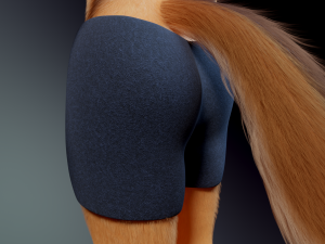 Julie Anthro Fox Model 3D