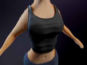 Julie Anthro Fox 3D Model