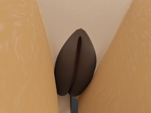 Julie Anthro Fox Model 3D