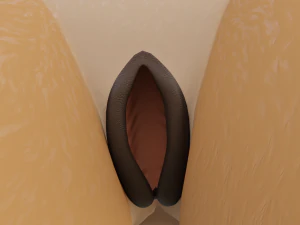 Julie Anthro Fox 3D Model