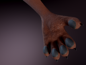 Agnes Anthro Fox 3D मॉडल
