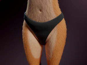 Agnes Anthro Fox Modello 3D