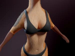 Agnes Anthro Fox Modello 3D