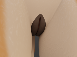Agnes Anthro Fox 3D मॉडल