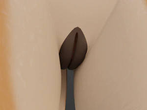 Agnes Anthro Fox Modello 3D