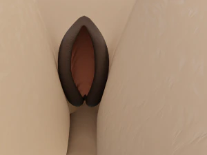 Agnes Anthro Fox Modello 3D