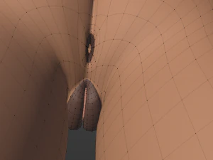 Agnes Anthro Fox Modello 3D