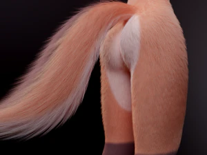 Celeste Anthro Fox 3D Model