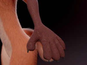 Celeste Anthro Fox 3D Model