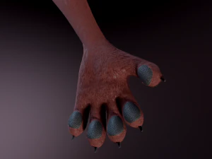 Celeste Anthro Fox 3D Model