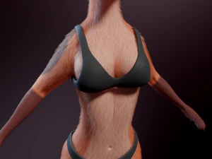 Celeste Anthro Fox 3D Model
