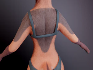 Celeste Anthro Fox 3D Model