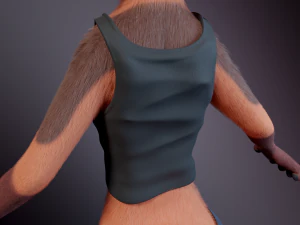 Celeste Anthro Fox 3D Model