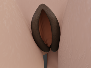 Celeste Anthro Fox Modelo 3D