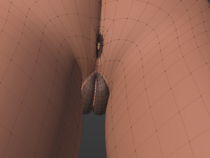 Celeste Anthro Fox Modelo 3D