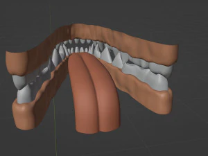 Celeste Anthro Fox 3D Model
