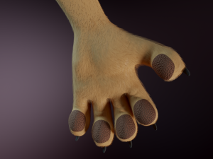 Arthur Anthro Lion Model 3D
