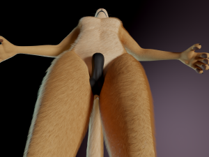 Arthur Anthro Lion Model 3D