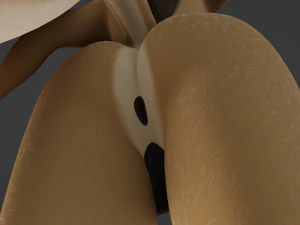 Arthur Anthro Lion 3D Model