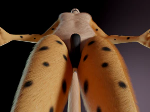 David Antro Ghepardo Modello 3D