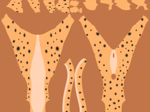 David Antro Ghepardo Modello 3D