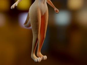 Yashley Anthro Fox 3D Model
