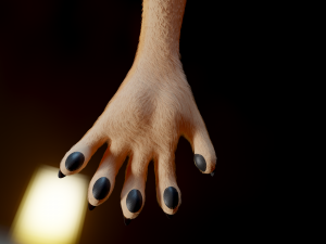 Yashley Anthro Fox Modèle 3D