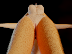 Yashley Anthro Fox Modèle 3D