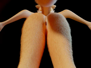 Yashley Anthro Fox 3D Model