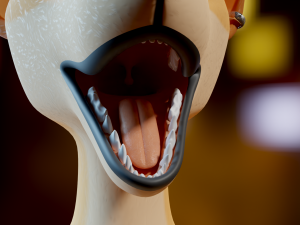 Yashley Anthro Fox Modèle 3D