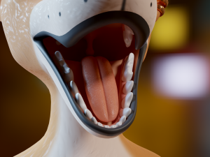 Yelena Anthro Dingo Model 3D