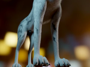 Kovu Wolf 3D Model