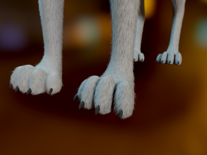 Kovu Wolf 3D Model