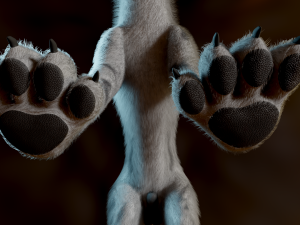 Kovu Wolf 3D Model